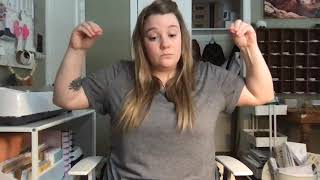 Lesson 2, Chapter 4 Assignment ASL 201