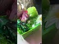Updates Mother’s Day prep #mothersday #smallbusiness #mother #updates
