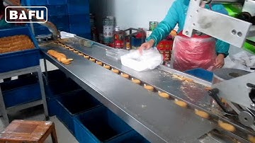 Flow Wrapper, Flow Wrap Machine, Flow Pack Machine, Horizontal Packaging Machine