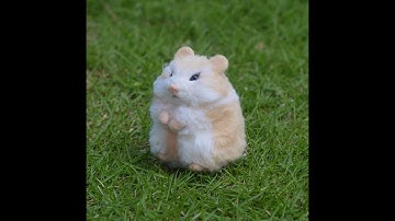 Hamster - Animal World Series Felting Kit