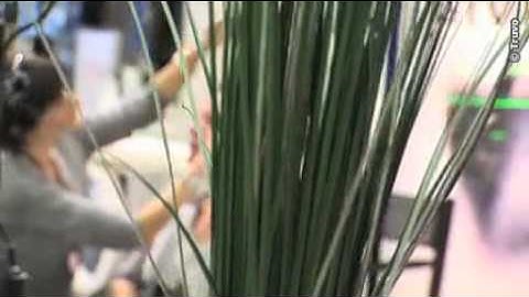 Parfumwinkel - Ici Paris XL