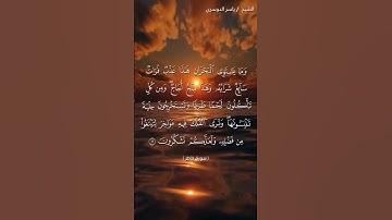 سورة فاطر من آية 12  إلى آية 13 بصوت الشيخ ياسر الدوسري♥♥
