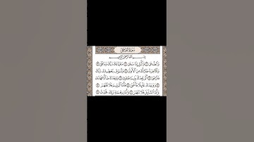 سورة الضحى - ماهر المعيقلي  #اكسبلور #القران #راحة_نفسية #الرحمن #quran #قران#قرآن_مكتوب