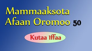 Mammaaksota Afaan Oromoo 50 | Kutaa 1ffaa | Urjii Creativity