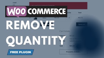 How To Remove Quantity In WooCommerce | In Hindi 2023