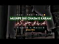 Mujh Pe Bhi Chashme Karam | Ghulam Mustafa Qadri | Slowed And Reverb Naat | Lofi Naat |Trending Naat