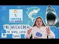 Megalodon: The Largest Shark Ever