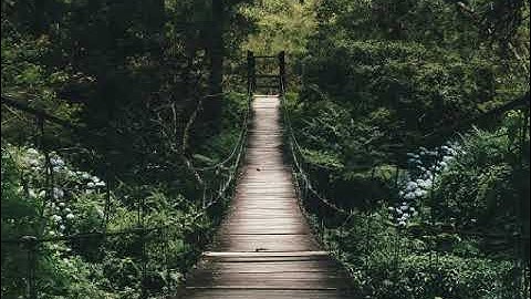 الشيخ عبد الفتاح علي الطاروطي سورة النساء من الاية 36الي 57