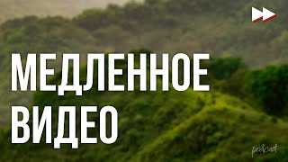 podcast | Медленное видео (2014) - #рекомендую смотреть, онлайн обзор фильма