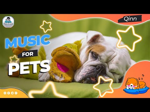 Video: Perfektas rotaļlietas 5 veidu suņiem