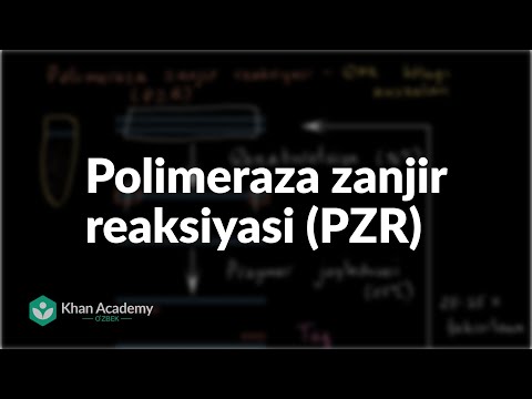 Video: Polimeraza zanjiri reaktsiyasi PCR Masteringbiology nima?