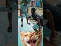fanny video 😂😂👍 #funny #shortvideo #viralvideo #viralshorts #explore #comedy #changeyourmindsetchan