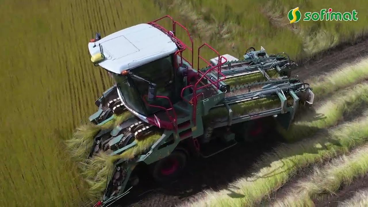 Mise en route du 𝗻𝗼𝘂𝘃𝗲𝗮𝘂 𝗺𝗼𝗱𝗲̀𝗹𝗲 d’arracheuse de lin Depoortere 🌱🚜