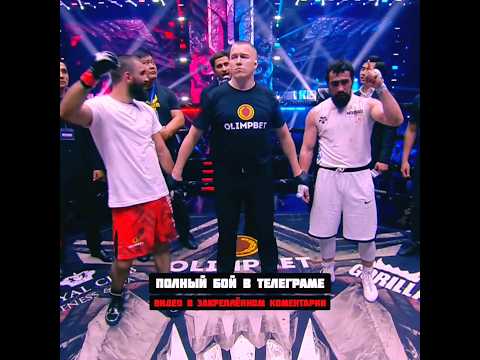 Шамиль Пахан vs Аббасов - Результат боя 'Nomad' #shorts #галимов #nomad