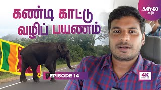 கண்டி சாலை பயணம் | காட்டு யானைகிட்ட சிக்கிட்டோம்?😳😎| Sri Lanka | Ep 14 | Way2go