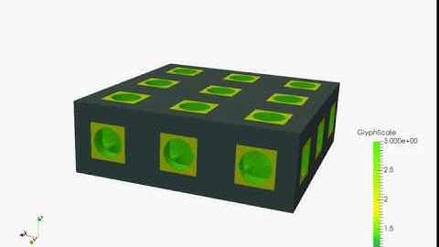 t1 Tissue Growth Simulation