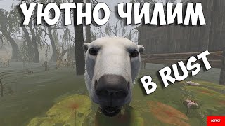 УЮТНО ЧИЛИМ в СОЛО в RUST/РАСТ #rust #стрим #раст #соло