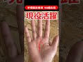 【手相実例】現役期にしっかり活躍する人の手相 #shorts #手相