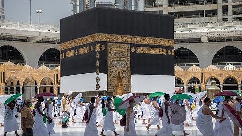 سورة الانسان الشيخ بندر بليلة