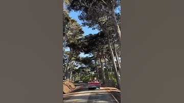Thumbnail of Driving California’s famous 17-Mile Drive in picturesque Pebble Beach #travel #shorts
