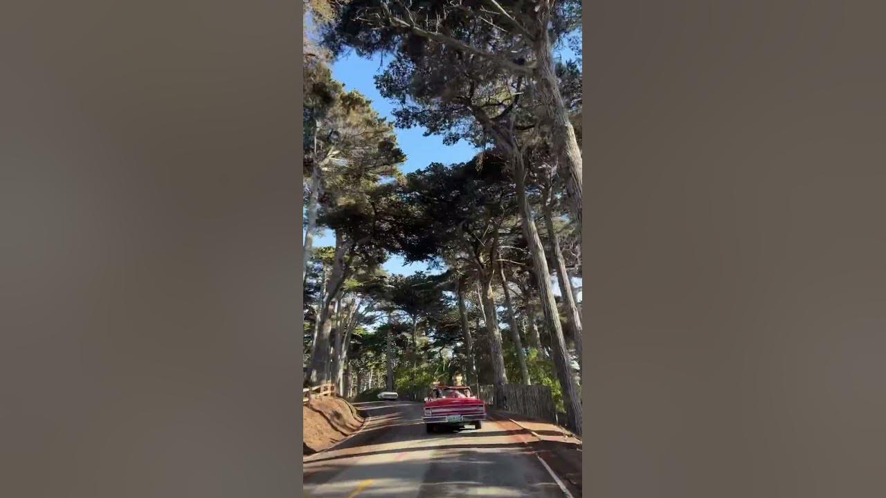 Driving California’s famous 17-Mile Drive in picturesque Pebble Beach #travel #shorts Driving California’s famous 17-Mile Drive in picturesque Pebble Beach #travel #shorts