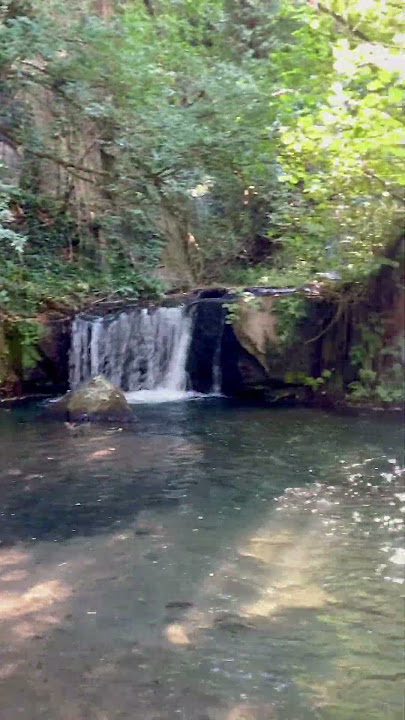 Il dono della natura🇮🇹🇮🇹🇮🇹￼#cascata #foresta #forest #bosco #reels #videos