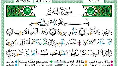 سورة التين مكتوبة / حمزة الجزائري