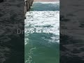 Dr Nail Nipper in California
