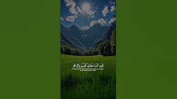 سورة الرعد || #قرآن_كريم #quran #المصحف #قرآن #عبدالرحمن_مسعد #explore #subscribe #راحة_نفسية