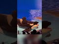 🔵Orca Smiling🐋💙💙#shorts #trending #viralshorts #jacobandabby #viral #viralvideo