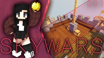BEATING A HACKER! | MINECRAFT SKYWARS #1