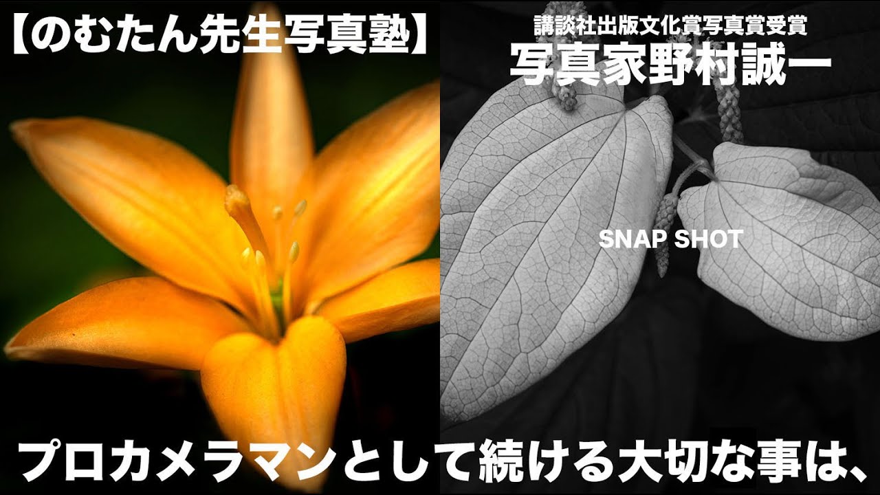 【野村誠一写真塾No069】プロとアマの決定的な違いは、、、、写真家野村誠一