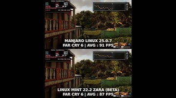 Linux Mint VS Manjaro | Linux Gaming FPS Benchmark Test
