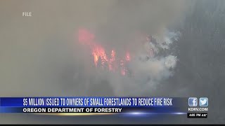 Oregon Department of Forestry awards $5 million in grants to landowners for wildfire resiliency
