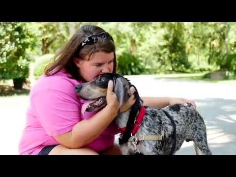Carolina Coonhound Rescue 97