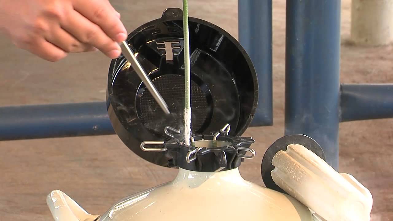 Passo a passo - descongelação do sêmen