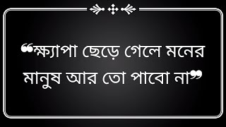 ক্ষ্যাপা ছেড়ে গেলে মনের মানুষ আর তো পাবো না❣️❣️। না না ছেড়ে দেবো না। বাংলা লিরিক্স গান lyrics video