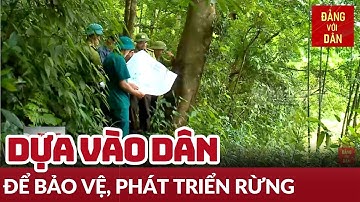 Phát huy vai trò nhân dân trong bảo vệ, phát triển rừng | Từ Nghị quyết đến cuộc sống | Đảng với Dân