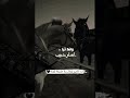 ما قلت لك انك من عيوني قريب حالات واتس اب تصاميم انستا تيك توك عشاق الخيول المهرة شيلات