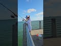 #fishing #florida