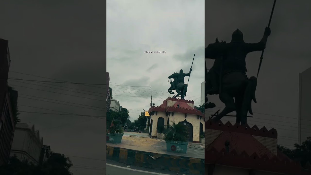 This video shows my feellings.