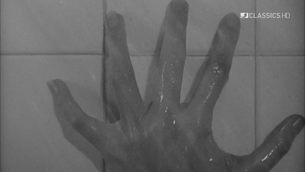 Duschszene Filmausschnitt "Psycho"