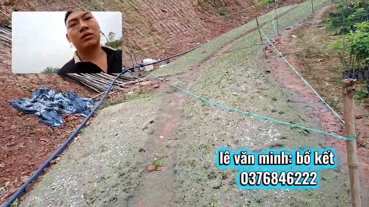 Giới thiệu quy mô  hợp tác xã bồ kết ghép nhà vườn 