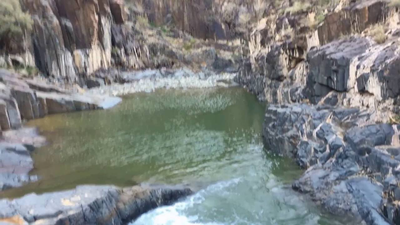 قبيلة ال عمر بللحمر 1437 هجري