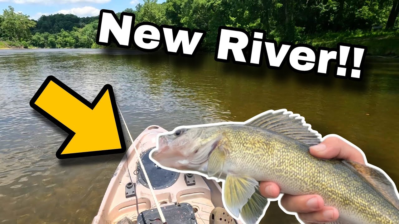 Kayak Fishing the New River for Smallmouth Bass… Surprise Catfish and Walleye!!