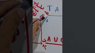 السلسلة المعبرة والسلسلة القالب