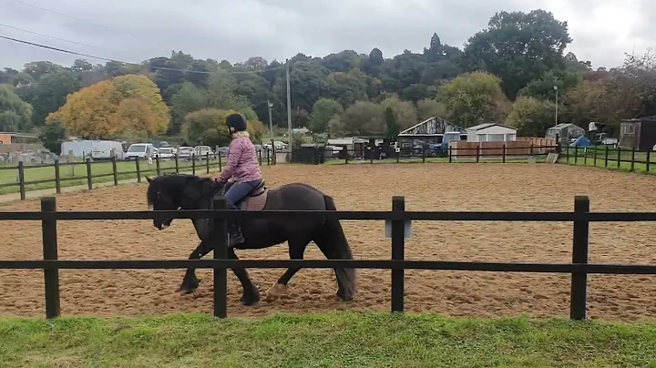 Joanne Gibbs riding Chocolate     October 2022