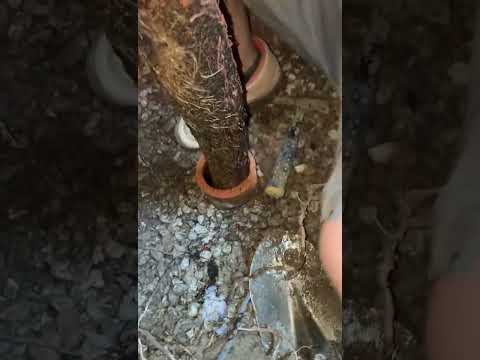 Suburban Plumbing Experts video 3