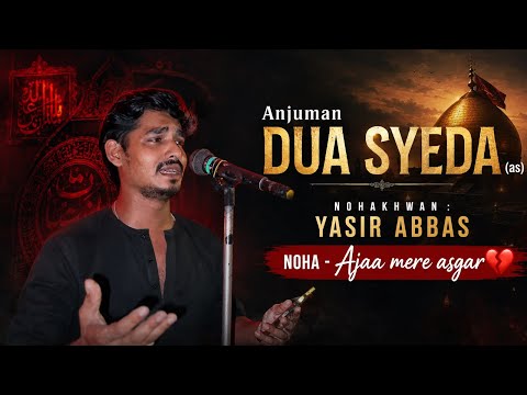 Anjuman Dua e Syeda (as) | Nohakhwan : Yasir Abbas | 11 Safar | Imambargah Zafar Ali | 1448 2026