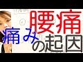 【腰痛】「痛みのサイクル」＋「筋肉が硬くなる理由」を知ってセルフメンテナンスに活かす！
